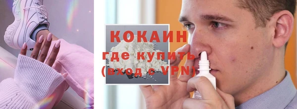 дживик Алексин