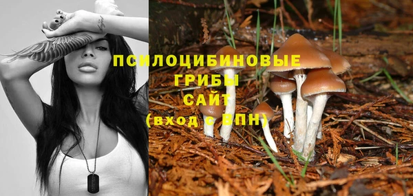 PSILOCYBIN Алексеевка