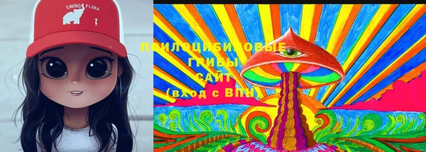 PSILOCYBIN Алексеевка