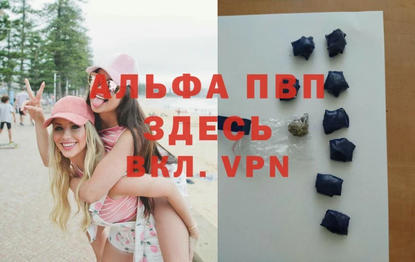 прущий лед Ладушкин